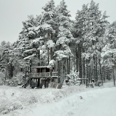 Elulong Camping Lohusuu 外观 照片