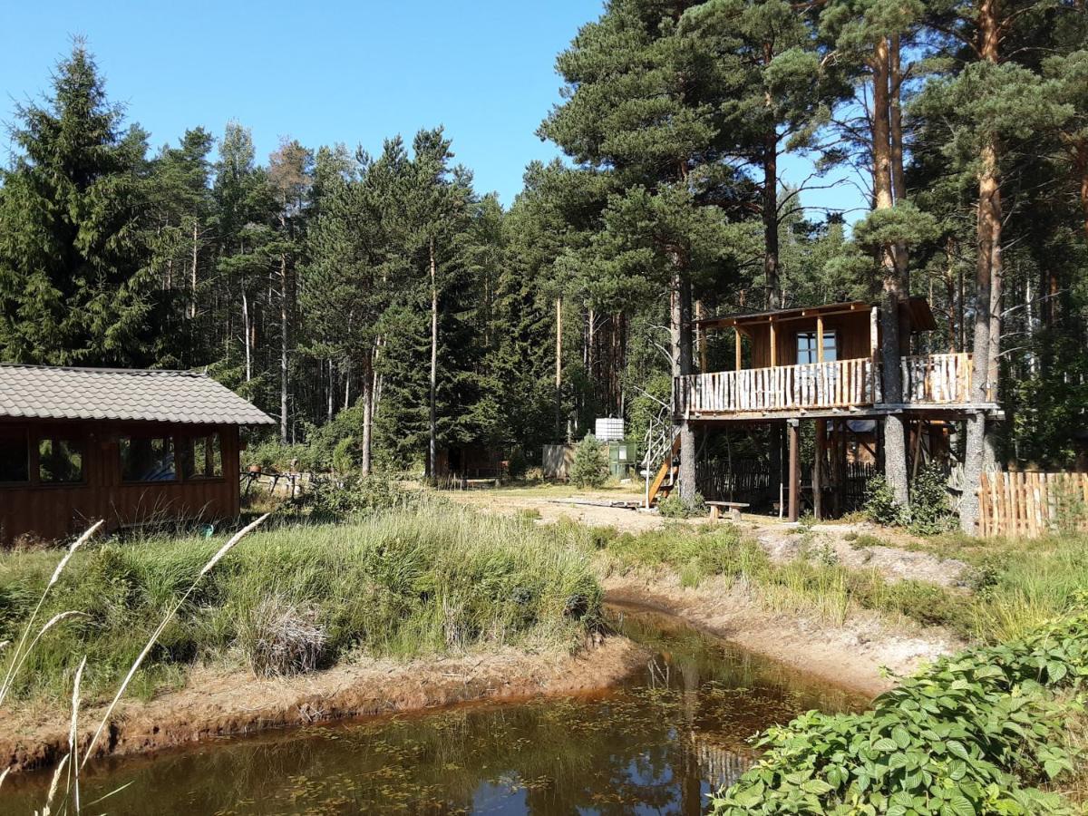 Elulong Camping Lohusuu 外观 照片